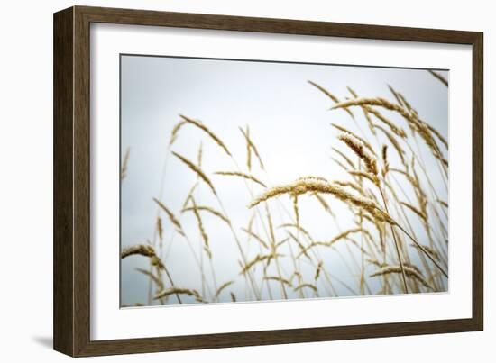 Summer Harvest-Andrew Geiger-Framed Giclee Print