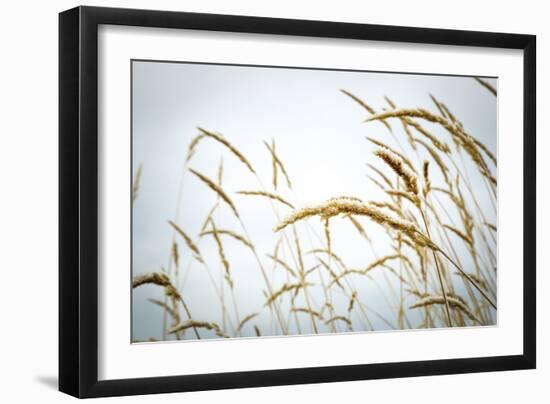 Summer Harvest-Andrew Geiger-Framed Giclee Print