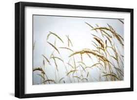 Summer Harvest-Andrew Geiger-Framed Giclee Print