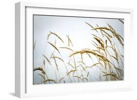 Summer Harvest-Andrew Geiger-Framed Giclee Print