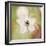 Summer Haze-John Harper-Framed Giclee Print