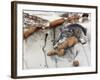 Summer Heat-Gordon Semmens-Framed Giclee Print