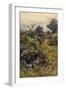 Summer Hedgerow-Berenger Benger-Framed Art Print