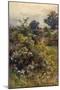 Summer Hedgerow-Berenger Benger-Mounted Art Print