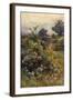 Summer Hedgerow-Berenger Benger-Framed Art Print