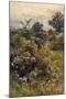 Summer Hedgerow-Berenger Benger-Mounted Art Print