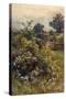 Summer Hedgerow-Berenger Benger-Stretched Canvas