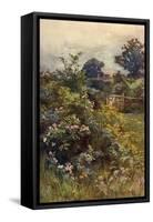 Summer Hedgerow-Berenger Benger-Framed Stretched Canvas