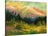 Summer High Country-Marion Rose-Stretched Canvas