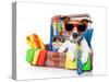 Summer Holiday Dog-Javier Brosch-Stretched Canvas