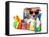 Summer Holiday Dog-Javier Brosch-Framed Stretched Canvas
