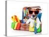 Summer Holiday Dog-Javier Brosch-Stretched Canvas