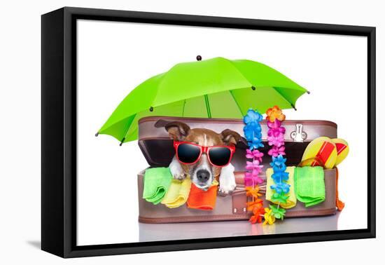 Summer Holiday Dog-Javier Brosch-Framed Stretched Canvas