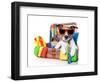 Summer Holiday Dog-Javier Brosch-Framed Photographic Print