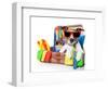 Summer Holiday Dog-Javier Brosch-Framed Photographic Print