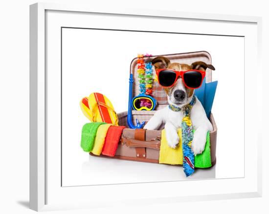 Summer Holiday Dog-Javier Brosch-Framed Photographic Print