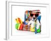 Summer Holiday Dog-Javier Brosch-Framed Photographic Print