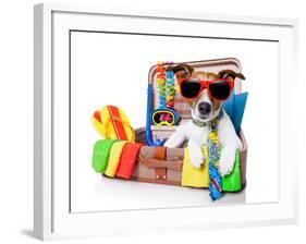 Summer Holiday Dog-Javier Brosch-Framed Photographic Print