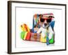 Summer Holiday Dog-Javier Brosch-Framed Photographic Print