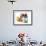 Summer Holiday Dog-Javier Brosch-Framed Photographic Print displayed on a wall