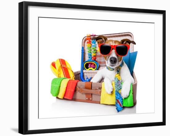 Summer Holiday Dog-Javier Brosch-Framed Photographic Print