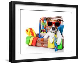 Summer Holiday Dog-Javier Brosch-Framed Photographic Print