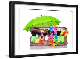 Summer Holiday Dog-Javier Brosch-Framed Photographic Print