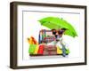 Summer Holiday Dog-Javier Brosch-Framed Photographic Print