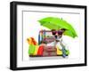 Summer Holiday Dog-Javier Brosch-Framed Photographic Print