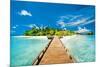 Summer Holidays Island Beach Art Poster Print-null-Mounted Poster