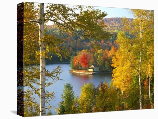 Summer Home Surrounded by Fall Colors, Wyman Lake, Maine, USA-Steve Terrill-Stretched Canvas