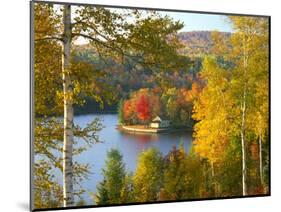 Summer Home Surrounded by Fall Colors, Wyman Lake, Maine, USA-Steve Terrill-Mounted Photographic Print