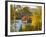 Summer Home Surrounded by Fall Colors, Wyman Lake, Maine, USA-Steve Terrill-Framed Photographic Print