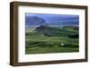 Summer House, Dyrhólaey Iceland-Vincent James-Framed Photographic Print