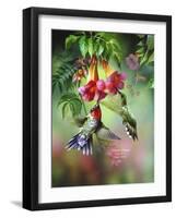 Summer Hummer-Spencer Williams-Framed Giclee Print