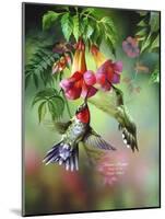 Summer Hummer-Spencer Williams-Mounted Giclee Print