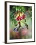 Summer Hummer-Spencer Williams-Framed Giclee Print