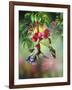 Summer Hummer-Spencer Williams-Framed Giclee Print