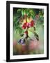 Summer Hummer-Spencer Williams-Framed Giclee Print