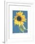 Summer I-Amy Melious-Framed Art Print