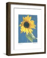 Summer I-Amy Melious-Framed Art Print