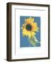 Summer I-Amy Melious-Framed Art Print