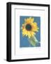 Summer I-Amy Melious-Framed Art Print