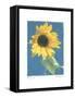 Summer I-Amy Melious-Framed Stretched Canvas