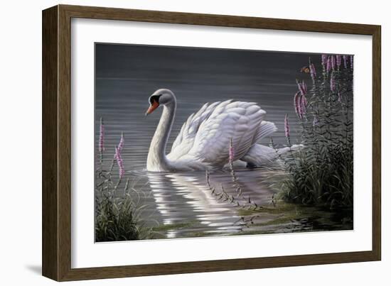 Summer Idyll - Mute Swan-Wilhelm Goebel-Framed Giclee Print
