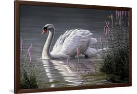 Summer Idyll - Mute Swan-Wilhelm Goebel-Framed Giclee Print