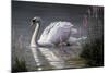 Summer Idyll - Mute Swan-Wilhelm Goebel-Mounted Giclee Print