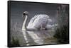 Summer Idyll - Mute Swan-Wilhelm Goebel-Framed Stretched Canvas