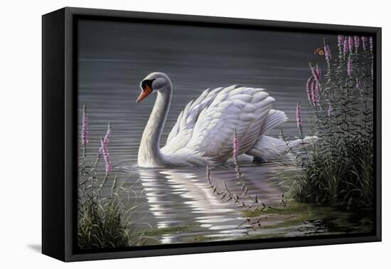 Summer Idyll - Mute Swan-Wilhelm Goebel-Framed Stretched Canvas