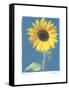 Summer II-Amy Melious-Framed Stretched Canvas
